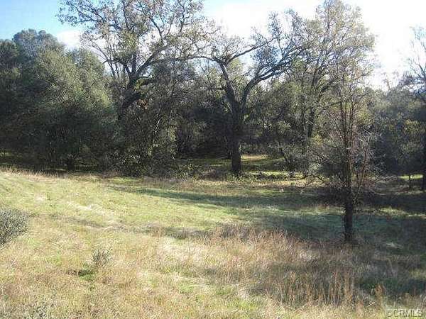 50.6 Acres of Land for Sale in Oakhurst, California