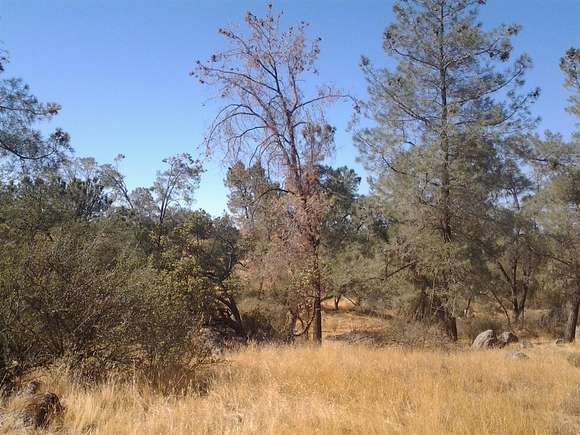 6.5 Acres of Residential Land for Sale in Raymond, California