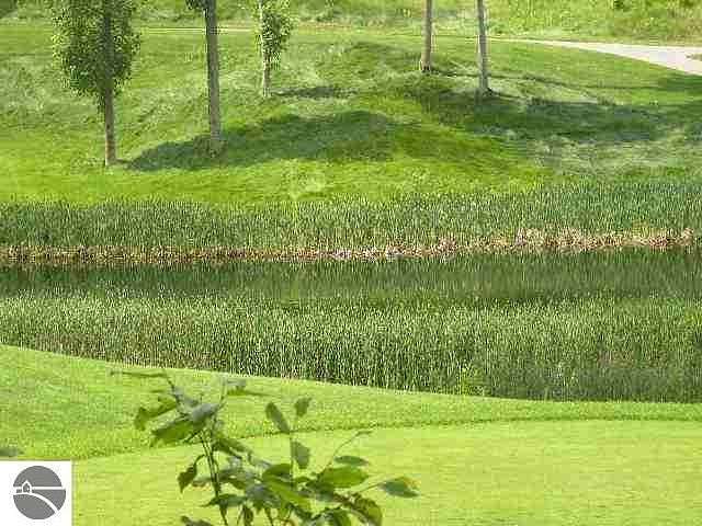 0.5 Acres of Residential Land for Sale in Bellaire, Michigan
