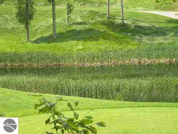 0.5 Acres of Residential Land for Sale in Bellaire, Michigan