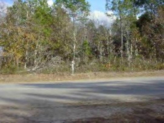 10 Acres of Commercial Land for Sale in Douglas, Georgia
