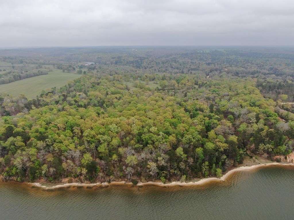 175 Acres of Recreational Land for Sale in Georgetown, Georgia