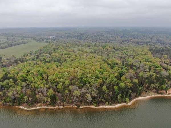 175 Acres of Recreational & Residential Land for Sale in Georgetown, Georgia
