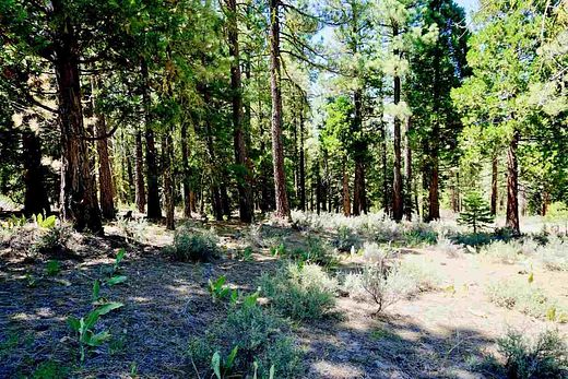 5 Acres of Residential Land for Sale in Portola, California