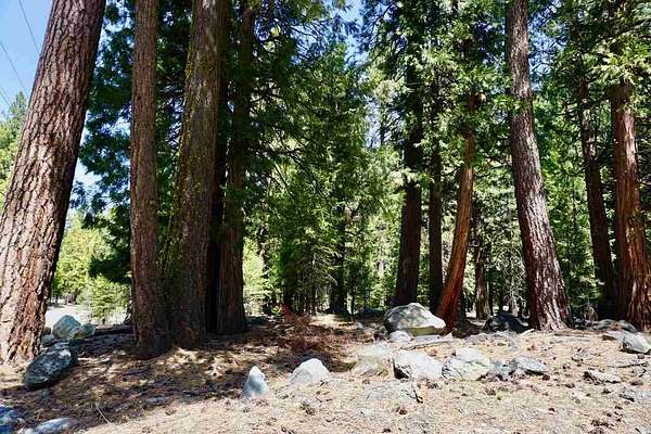 0.5 Acres of Land for Sale in Graeagle, California