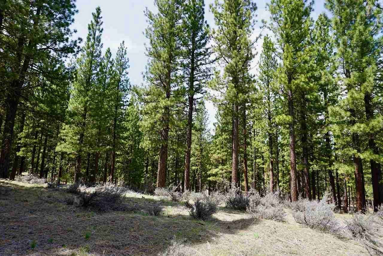 1.79 Acres of Residential Land for Sale in Clio, California