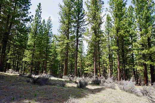 1.8 Acres of Residential Land for Sale in Clio, California
