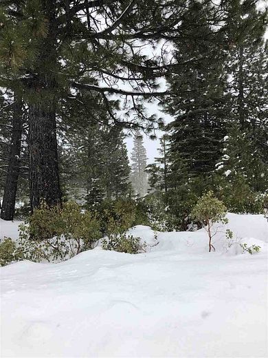 0.2 Acres of Residential Land for Sale in Lake Almanor Peninsula, California