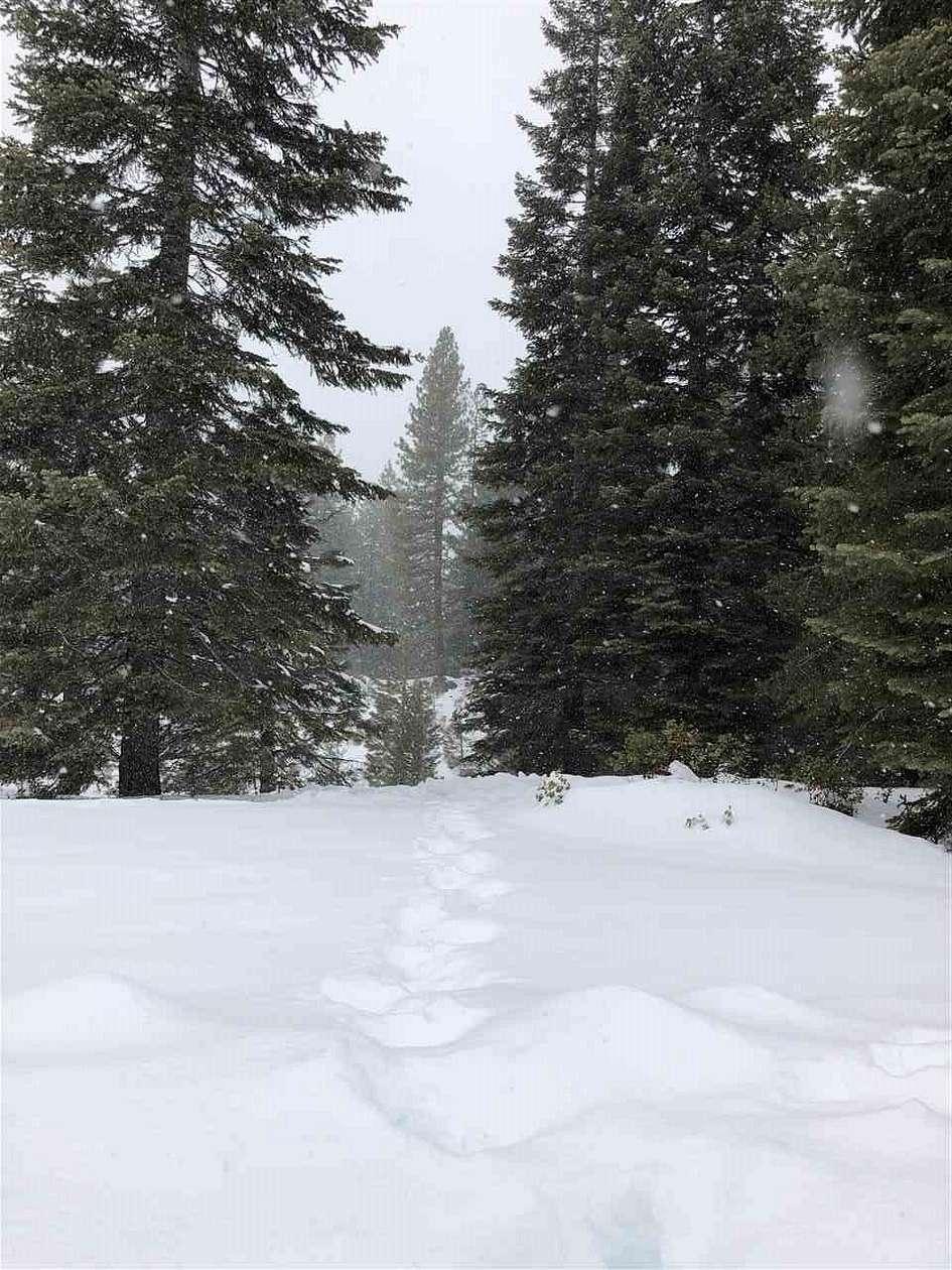 0.28 Acres of Land for Sale in Lake Almanor Peninsula, California