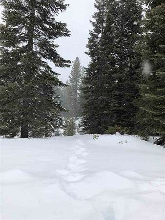 0.28 Acres of Land for Sale in Lake Almanor Peninsula, California