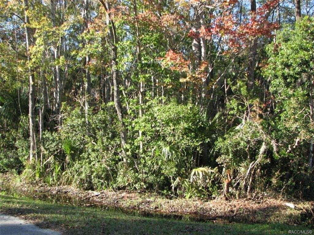 1.3 Acres of Residential Land for Sale in Crystal River, Florida