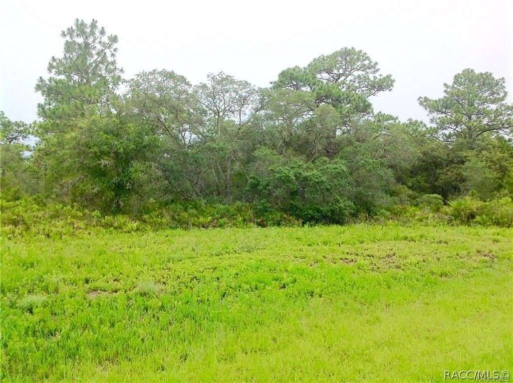 7 Acres of Residential Land for Sale in Homosassa, Florida