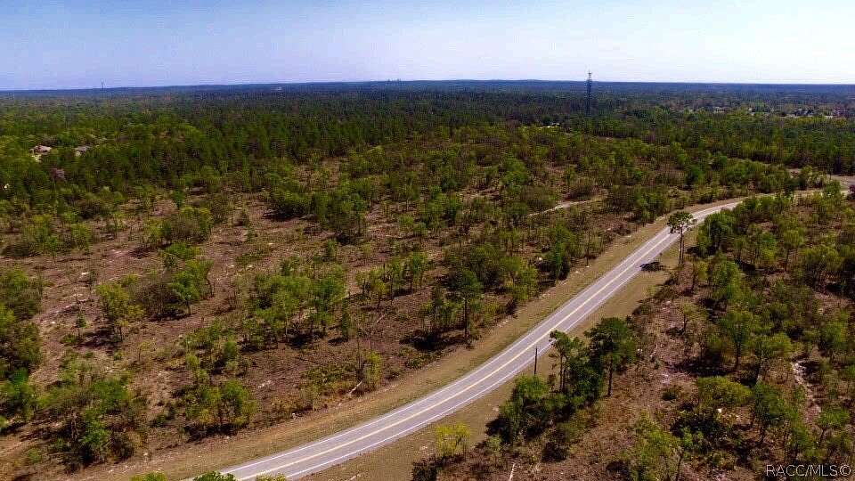 42.7 Acres of Land for Sale in Homosassa, Florida