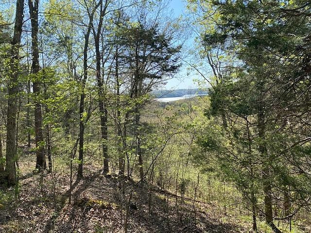 8.6 Acres of Residential Land for Sale in Allons, Tennessee
