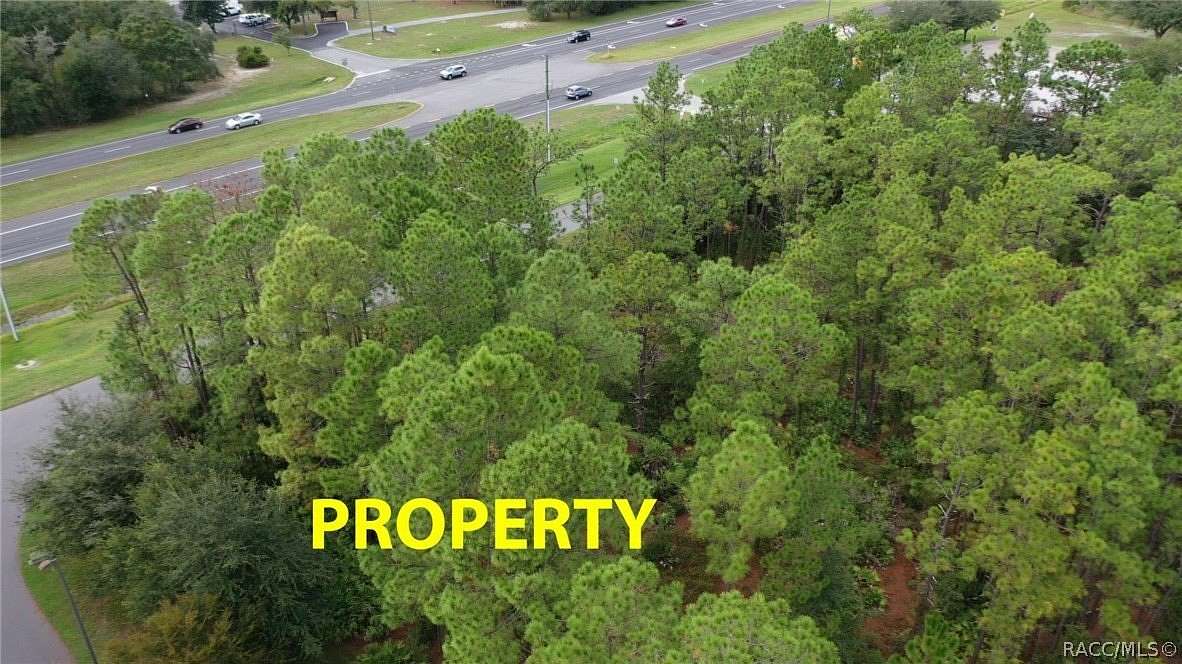 1.8 Acres of Residential Land for Sale in Homosassa, Florida