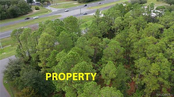 1.8 Acres of Residential Land for Sale in Homosassa, Florida