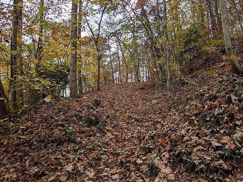 2.1 Acres of Residential Land for Sale in Sylva, North Carolina