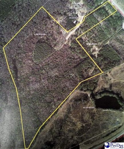 63 Acres of Land for Sale in Latta, South Carolina