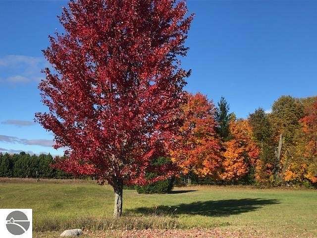 1 Acre of Residential Land for Sale in Cadillac, Michigan