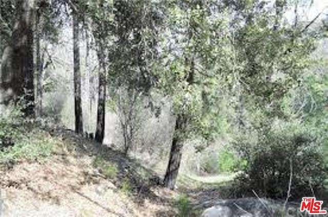 0.057 Acres of Residential Land for Sale in Cedarpines Park, California