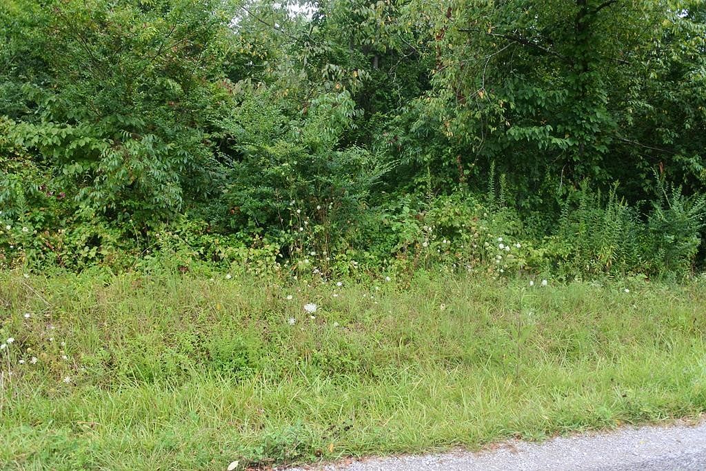 0.6 Acres of Residential Land for Sale in Crawford, Tennessee