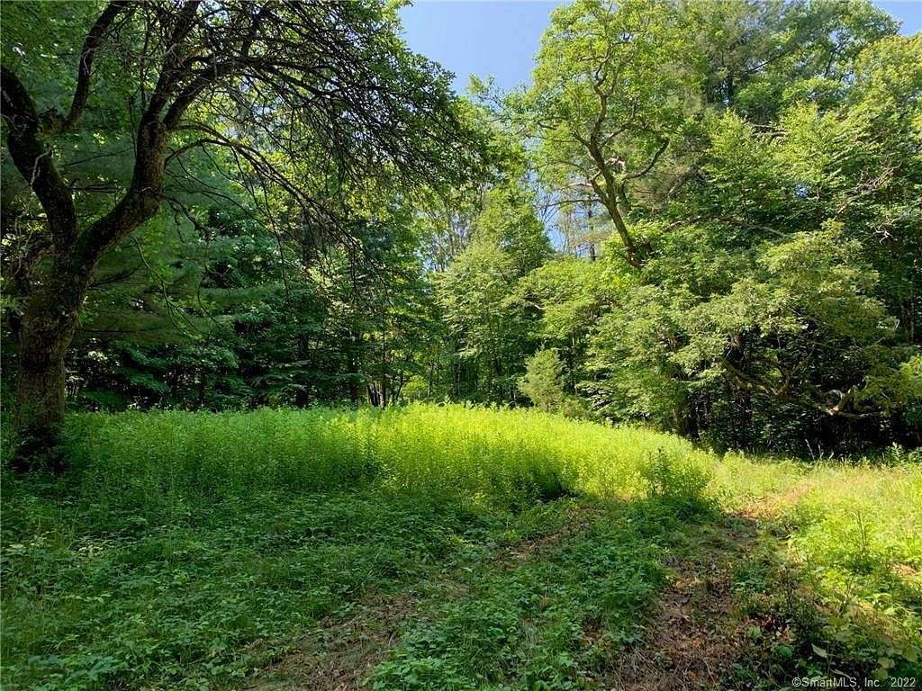 19.5 Acres of Land for Sale in Washington, Connecticut