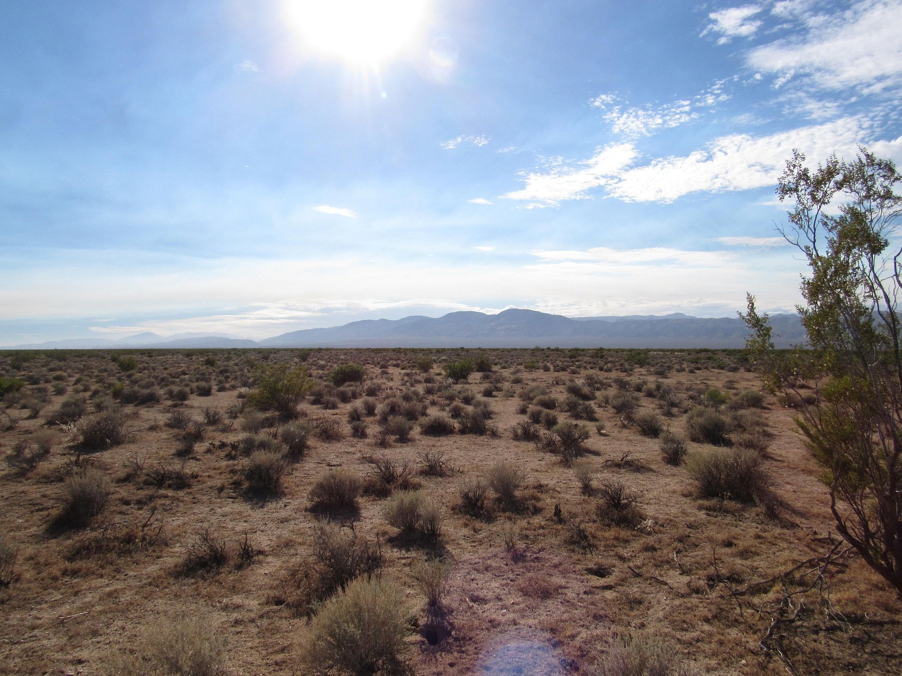 10 Acres of Residential Land for Sale in California City, California