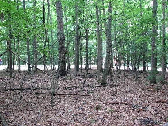 0.32 Acres of Land for Sale in Daniels, West Virginia