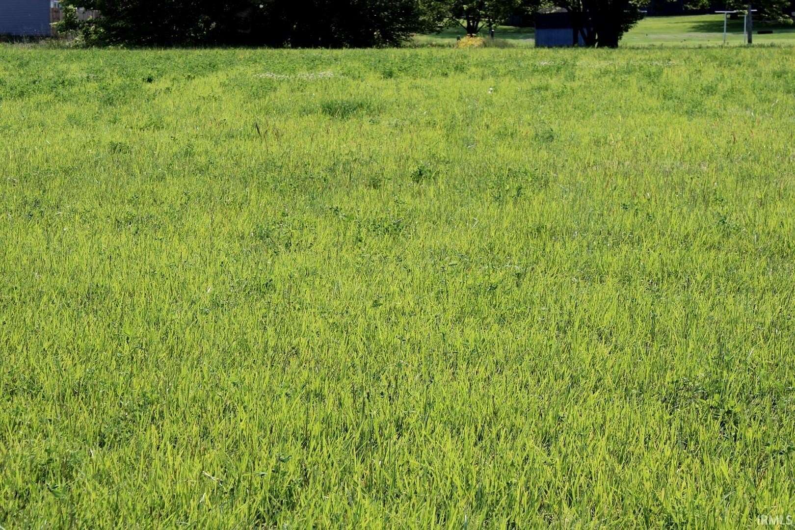 0.32 Acres of Residential Land for Sale in Princeton, Indiana