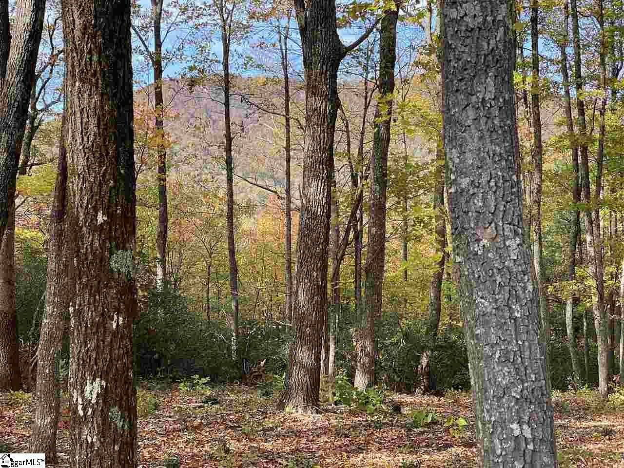 7.47 Acres of Residential Land for Sale in Travelers Rest, South Carolina