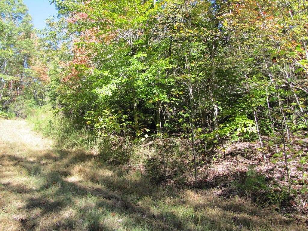 2 Acres of Residential Land for Sale in Stuart, Virginia