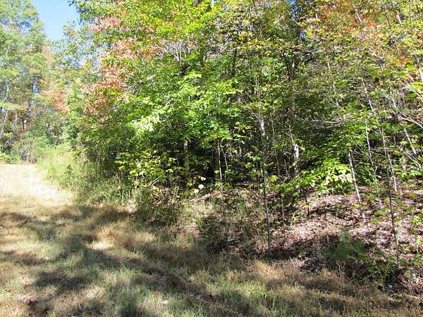 2 Acres of Residential Land for Sale in Stuart, Virginia