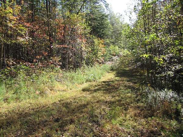 2 Acres of Residential Land for Sale in Stuart, Virginia