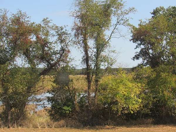 3.44 Acres of Residential Land for Sale in New Church, Virginia