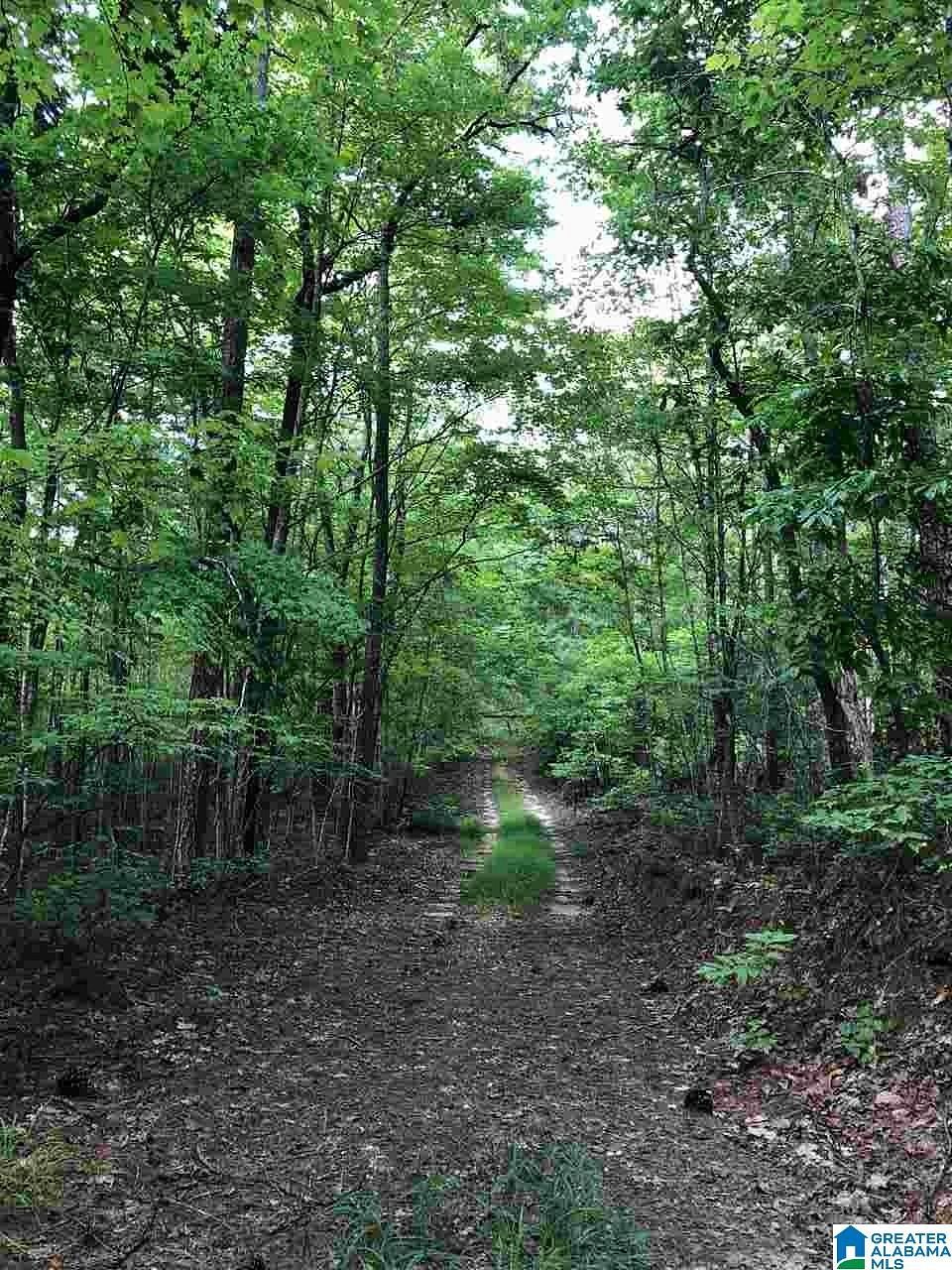 Land For Sale In Fruithurst Alabama