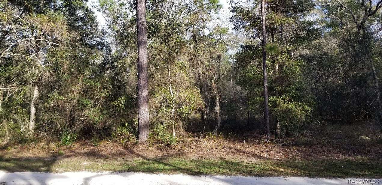 0.48 Acres of Residential Land for Sale in Dunnellon, Florida