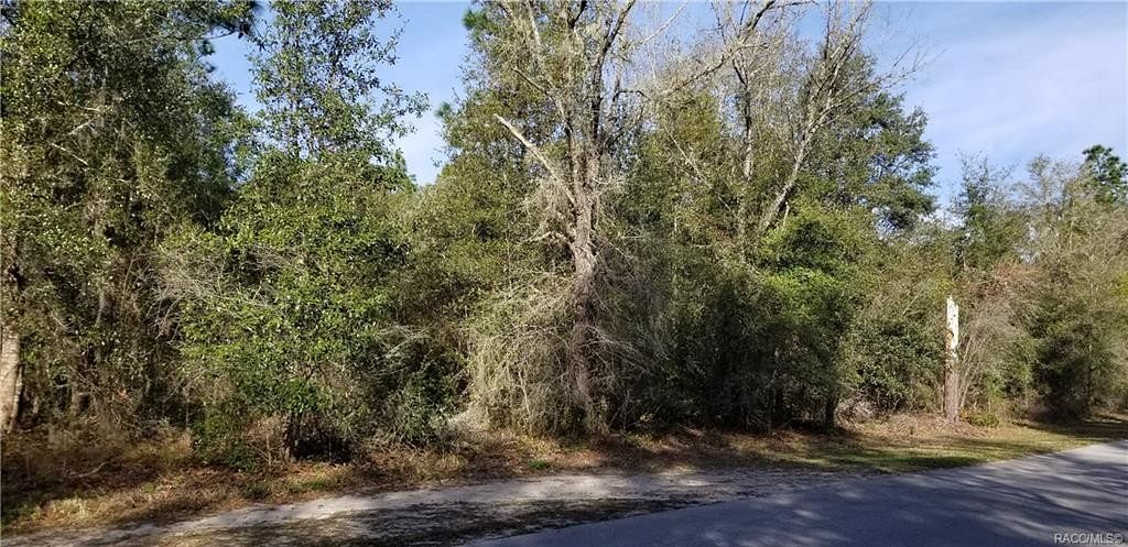 0.48 Acres of Residential Land for Sale in Dunnellon, Florida