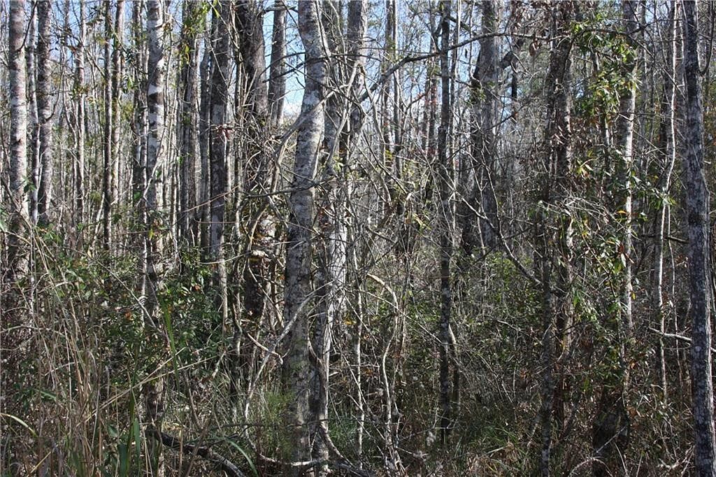 370 Acres of Agricultural Land for Sale in Waynesville,