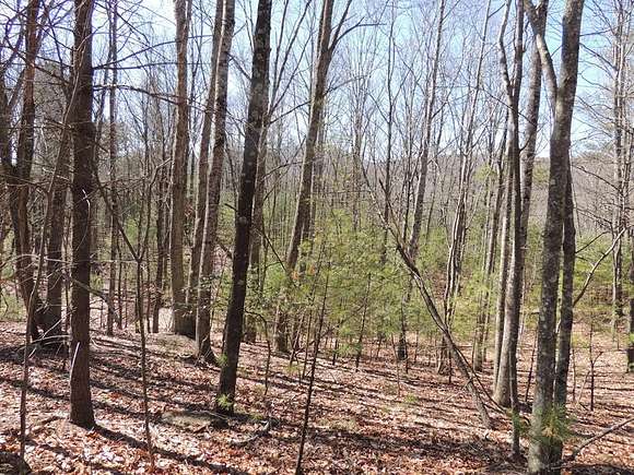 27.408 Acres of Recreational Land for Sale in Independence, Virginia