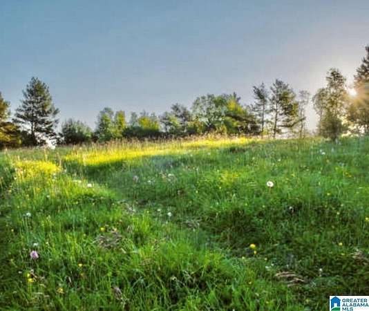 5.6 Acres of Commercial Land for Sale in Leeds, Alabama
