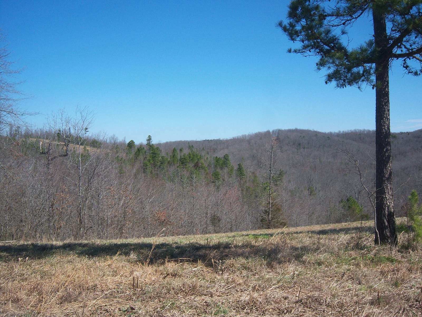 3 Acres of Recreational Land & Farm for Sale in Mountain View, Arkansas