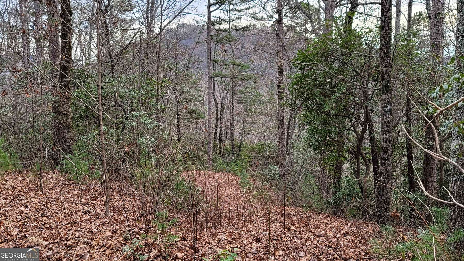 3.1 Acres of Residential Land for Sale in Tiger, Georgia