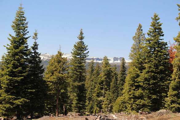 152 Acres of Recreational Land for Sale in Paisley, Oregon