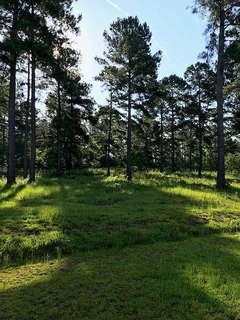 1.04 Acres of Residential Land for Sale in Douglas, Georgia