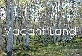 11.7 Acres of Mixed-Use Land for Sale in Romulus, Michigan