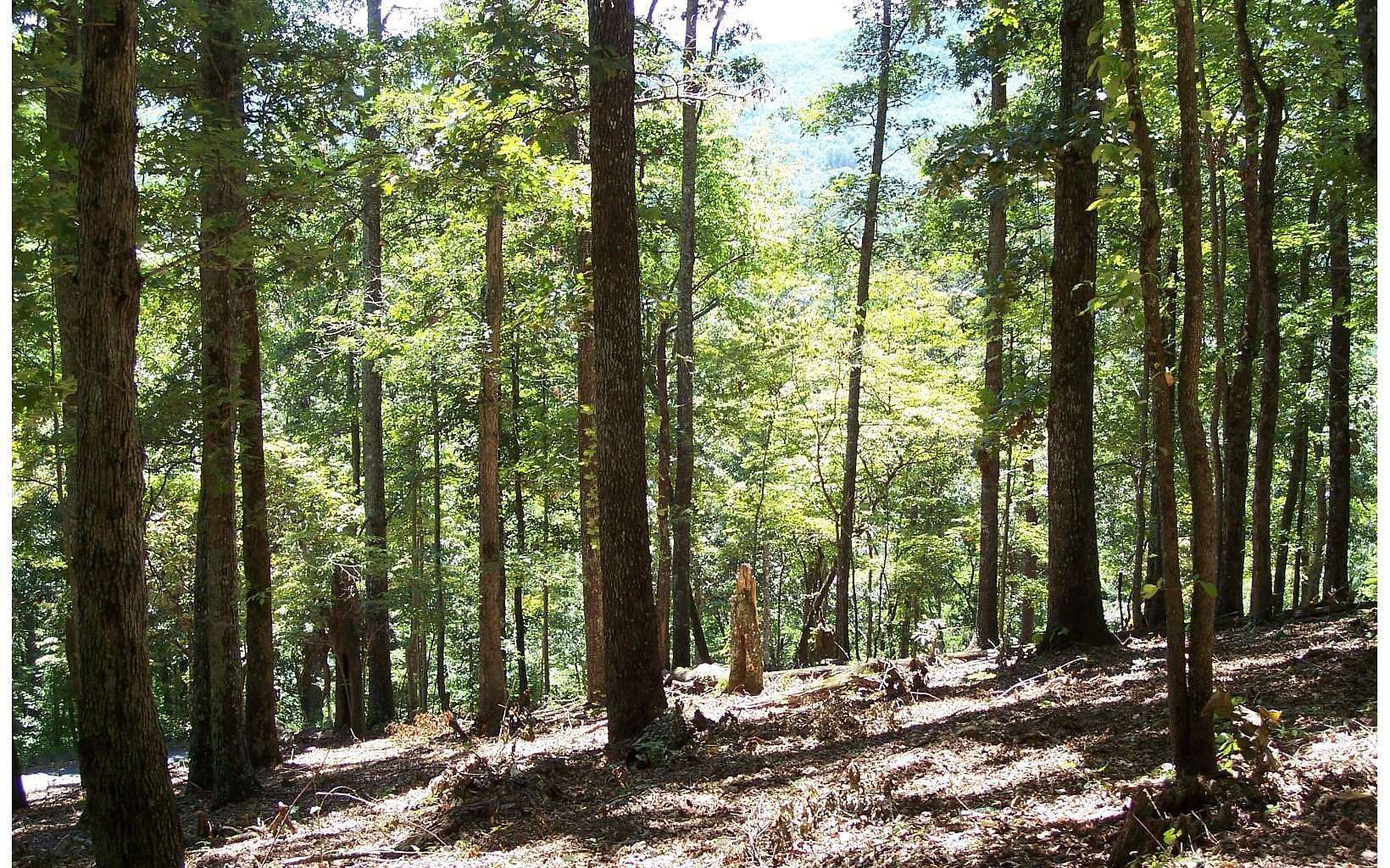 1.26 Acres of Land for Sale in Hayesville, North Carolina