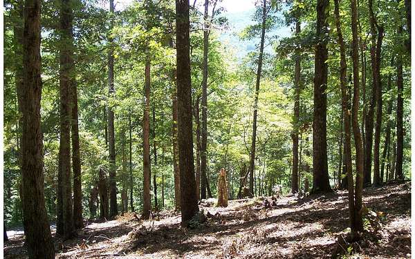 1.26 Acres of Land for Sale in Hayesville, North Carolina