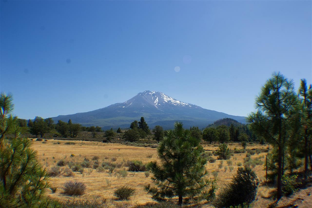 62.9 Acres of Agricultural Land for Sale in Weed, California