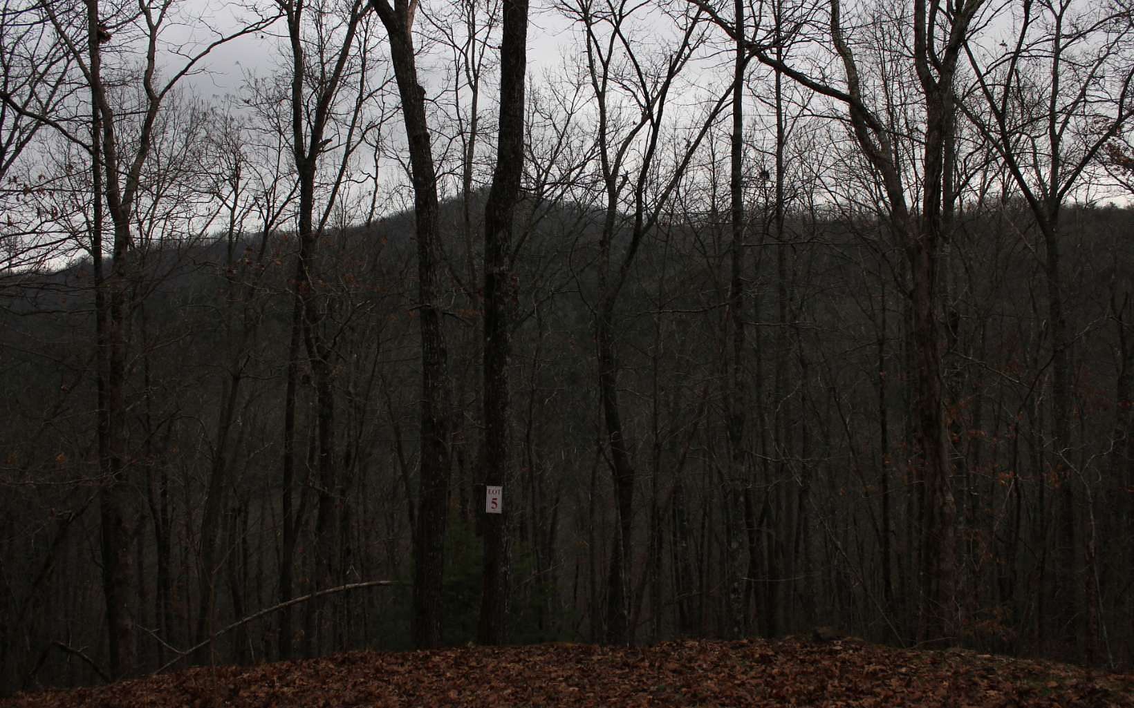 1.27 Acres of Land for Sale in Hayesville, North Carolina