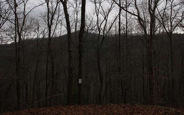 1.27 Acres of Land for Sale in Hayesville, North Carolina